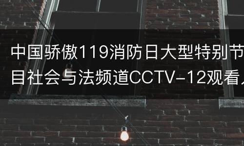 中国骄傲119消防日大型特别节目社会与法频道CCTV-12观看入口