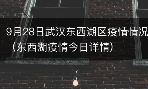 9月28日武汉东西湖区疫情情况（东西湖疫情今日详情）