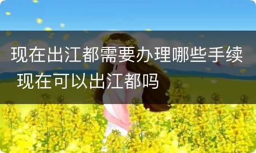 现在出江都需要办理哪些手续 现在可以出江都吗