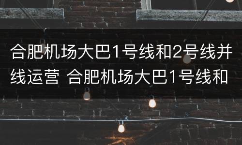 合肥机场大巴1号线和2号线并线运营 合肥机场大巴1号线和2号线并线运营时间