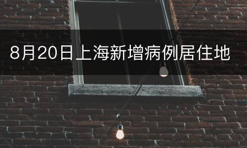 8月20日上海新增病例居住地