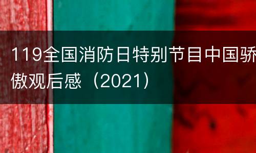 119全国消防日特别节目中国骄傲观后感（2021）