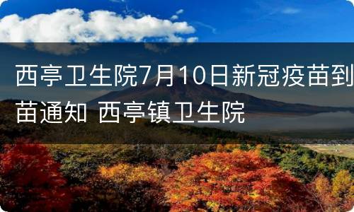 西亭卫生院7月10日新冠疫苗到苗通知 西亭镇卫生院