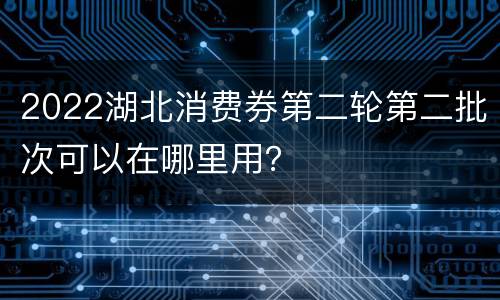 2022湖北消费券第二轮第二批次可以在哪里用？