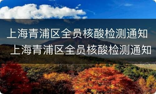 上海青浦区全员核酸检测通知 上海青浦区全员核酸检测通知最新