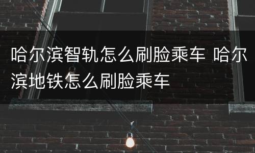 哈尔滨智轨怎么刷脸乘车 哈尔滨地铁怎么刷脸乘车