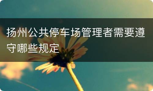扬州公共停车场管理者需要遵守哪些规定