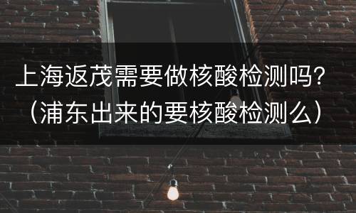 上海返茂需要做核酸检测吗？（浦东出来的要核酸检测么）