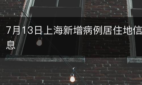 7月13日上海新增病例居住地信息