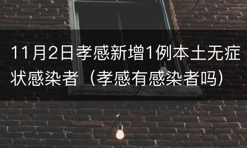 11月2日孝感新增1例本土无症状感染者（孝感有感染者吗）