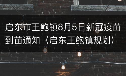 启东市王鲍镇8月5日新冠疫苗到苗通知（启东王鲍镇规划）