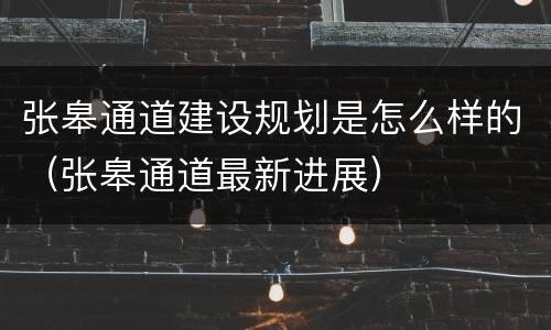 张皋通道建设规划是怎么样的（张皋通道最新进展）