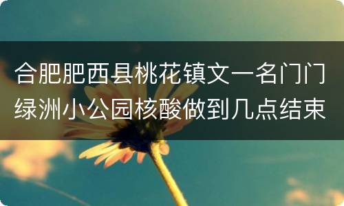 合肥肥西县桃花镇文一名门门绿洲小公园核酸做到几点结束