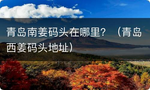 青岛南姜码头在哪里？（青岛西姜码头地址）