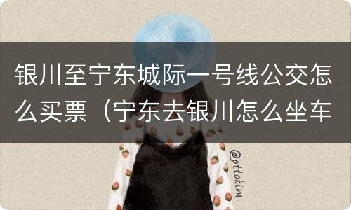 银川至宁东城际一号线公交怎么买票（宁东去银川怎么坐车）