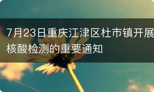 7月23日重庆江津区杜市镇开展核酸检测的重要通知