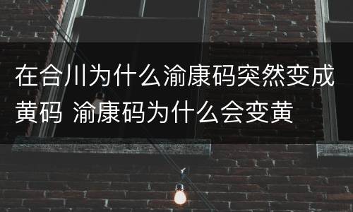 在合川为什么渝康码突然变成黄码 渝康码为什么会变黄