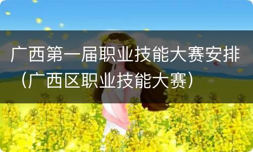 广西第一届职业技能大赛安排（广西区职业技能大赛）