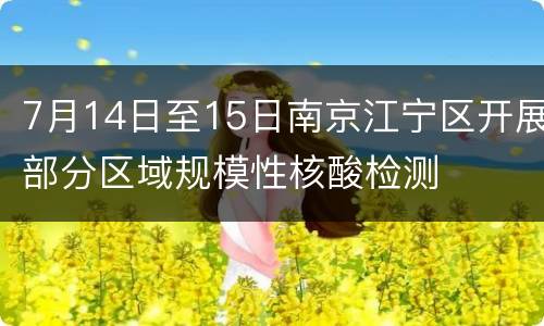 7月14日至15日南京江宁区开展部分区域规模性核酸检测
