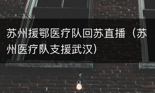 苏州援鄂医疗队回苏直播（苏州医疗队支援武汉）