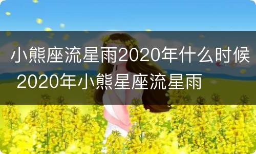 小熊座流星雨2020年什么时候 2020年小熊星座流星雨