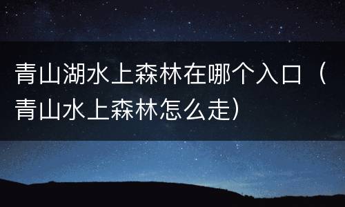 青山湖水上森林在哪个入口（青山水上森林怎么走）