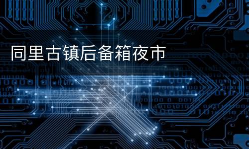 同里古镇后备箱夜市