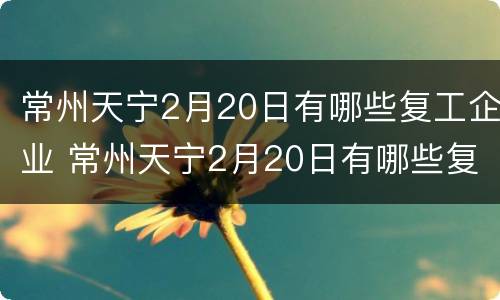 常州天宁2月20日有哪些复工企业 常州天宁2月20日有哪些复工企业招聘