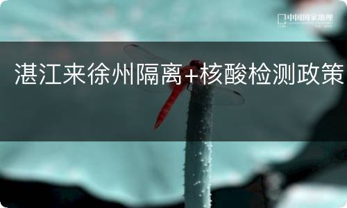 湛江来徐州隔离+核酸检测政策