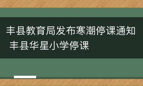 丰县教育局发布寒潮停课通知 丰县华星小学停课