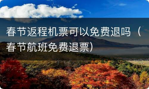 春节返程机票可以免费退吗（春节航班免费退票）