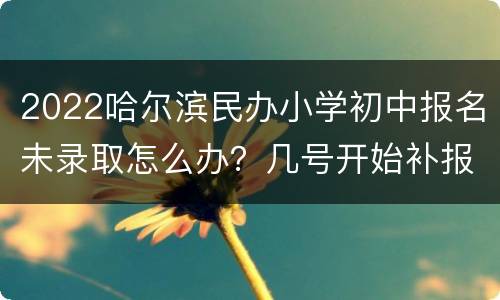 2022哈尔滨民办小学初中报名未录取怎么办？几号开始补报名