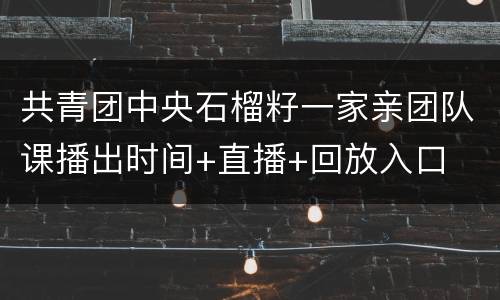 共青团中央石榴籽一家亲团队课播出时间+直播+回放入口