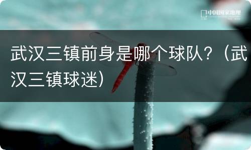 武汉三镇前身是哪个球队?（武汉三镇球迷）