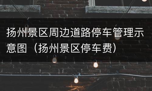 扬州景区周边道路停车管理示意图（扬州景区停车费）