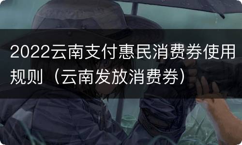 2022云南支付惠民消费券使用规则（云南发放消费券）