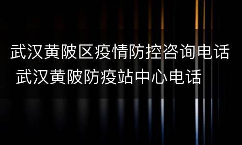 武汉黄陂区疫情防控咨询电话 武汉黄陂防疫站中心电话