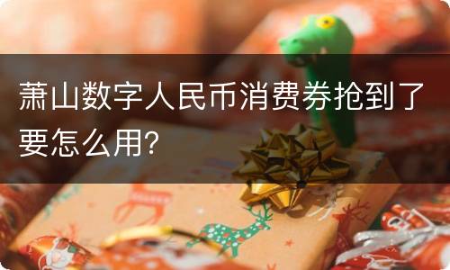 萧山数字人民币消费券抢到了要怎么用？