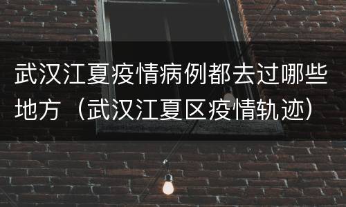 武汉江夏疫情病例都去过哪些地方（武汉江夏区疫情轨迹）