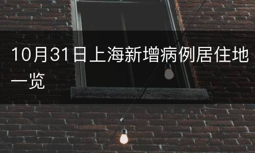 10月31日上海新增病例居住地一览