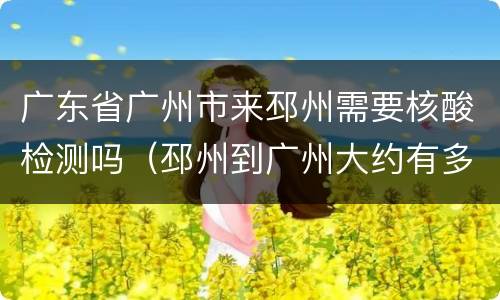 广东省广州市来邳州需要核酸检测吗（邳州到广州大约有多少千米）