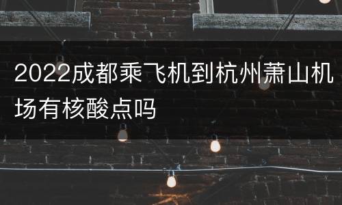2022成都乘飞机到杭州萧山机场有核酸点吗