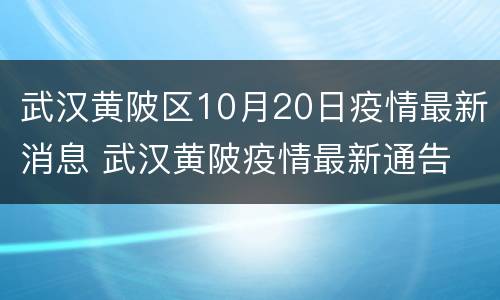 武汉黄陂区10月20日疫情最新消息 武汉黄陂疫情最新通告