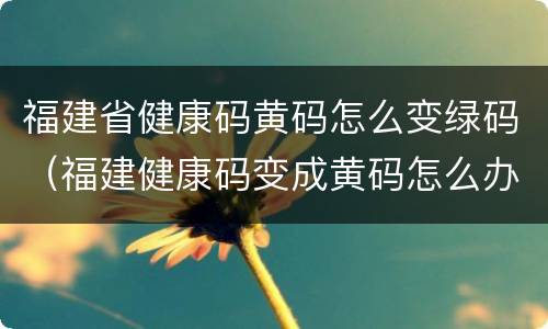 福建省健康码黄码怎么变绿码（福建健康码变成黄码怎么办）