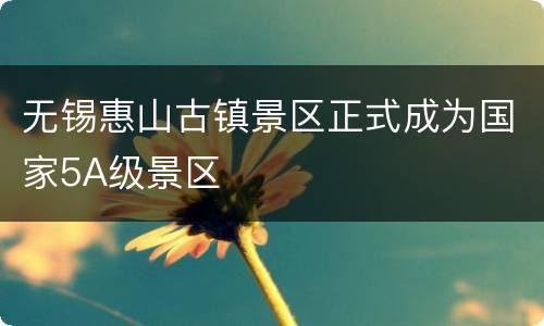 无锡惠山古镇景区正式成为国家5A级景区