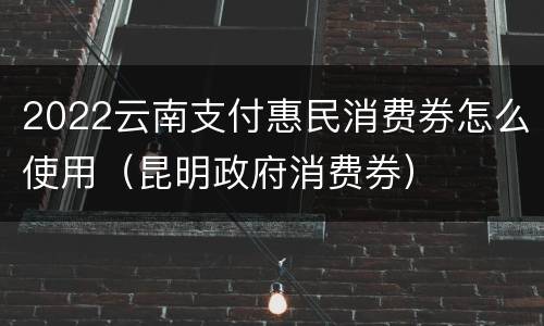 2022云南支付惠民消费券怎么使用（昆明政府消费券）