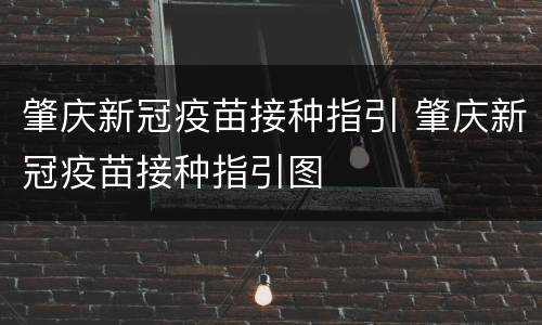 肇庆新冠疫苗接种指引 肇庆新冠疫苗接种指引图