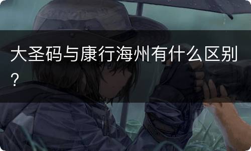 大圣码与康行海州有什么区别?
