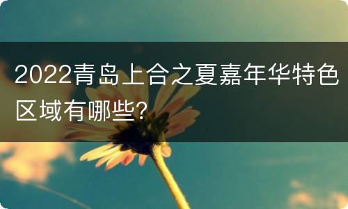 2022青岛上合之夏嘉年华特色区域有哪些？
