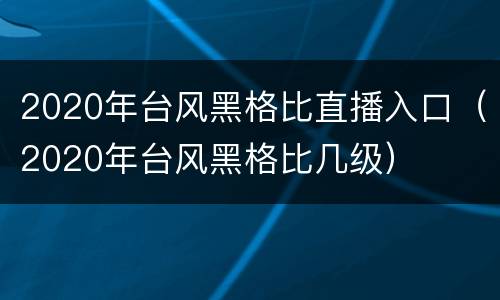 2020年台风黑格比直播入口（2020年台风黑格比几级）